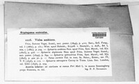Image Associated With the Occurence
